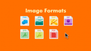 Sự khác biệt giữa JPG vs PNG vs GIF vs SVG · CodeGo